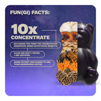 Nutrops Sugar-Free Lions Mane Mushroom Gummies for Adults, Functional Nootropics, Herbal Brain Supplement for Energy, Brain Health, Cognitive, Memory & Focus, Reishi, Chaga, Cordyceps - 28 Day Supply