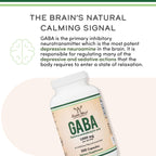 GABA Supplement (300 Capsules, 1,000mg per Serving) Promotes Calm, Relaxation, and Supports Sleep (Vegan Safe, Gluten Free, Non-GMO)(Gamma Aminobutyric Acid) by Double Wood