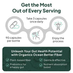 Organics Ocean Better Fiber - Daily Fiber Supplement - Soften Stool for Effortless Bowel Movements - with Psyllium Hulk and Slippery Elm - 3 Bottles
