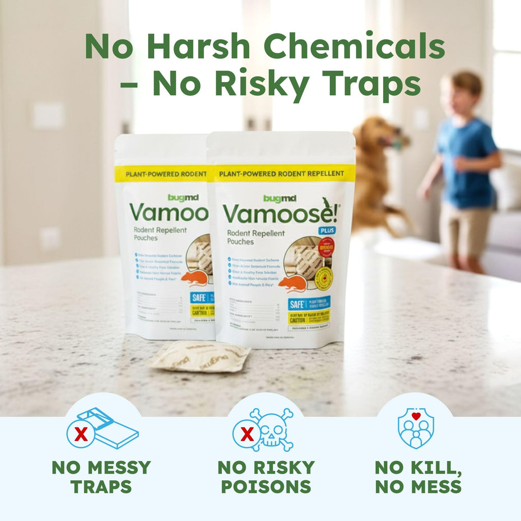 BugMD Vamoose! Plus Peppermint Oil Mouse Repellent Pouches | Natural Mice Repellent Indoor & Rat Deterrent for House, Garage, RV, Car & Storage | Plant-Powered Rodent Control - 2 Pack - 8 Pouches