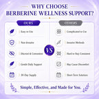 Yainmos Berberine Patches for Women and Men, New & Improved Berberine Patches with Plant Extracts, Applied to Various Parts of The Body (30 Count)