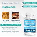 BIO VITALICA Sea Moss Ashwagandha Gummies - Organic Irish Sea Moss Blended with Burdock Root & Bladderwrack - Natural Energy & Calm Support for Adults - 5 Packs