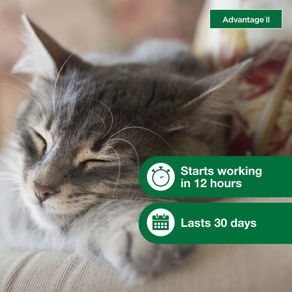 Advantage II Small Cat Topical Flea Treatment & Prevention, 2ct