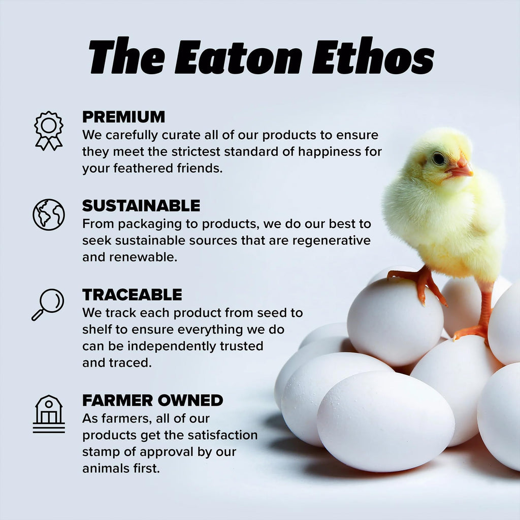 Eaton Pet and Pasture Nesting Pads for Laying Hens, 13 x 13 Inch, 10 Pack