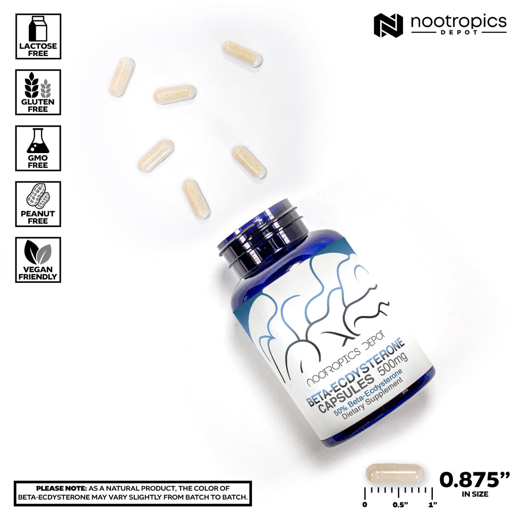 Nootropics Depot Beta Ecdysterone/20-Hydroxyecdysone 50% Capsules | 500mg | Cyanotis Arachnoidea Extract | Phytoecdysteroid | 30 Count