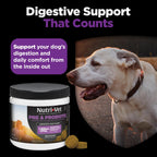Nutri-Vet Pre & Probiotics for Dogs, Dog Probiotics, 120 Soft Chews