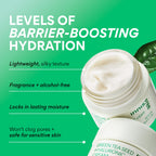 innisfree Hydration Heroes Set with Green Tea, Korean Skincare Kit Featuring Moisturizing Serum, Toner, Cleanser & Cream