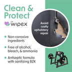 Wipex Gym Cleaning Wipes Bundle - Get (1) 400ct Lemongrass Surface Wipes & (1) 225ct Body Cloths for After Workout, Plant-Based Fitness Equipment Wipes, Clean Surfaces & Mats and Peloton Bike