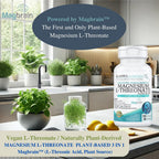 Kappa Nutrition Powered by Magbrain™ Magnesium L-Threonate Plant-Based, 420mg Elemental Magnesium (3 Capsules) from 2,253mg, 120 Vegan Capsules, Brain, Sleep & Muscle Support.