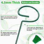 Unves 12 Pack Plant Support Stakes, 36 in Plant Stakes(36 or 24 or 12 Inch)