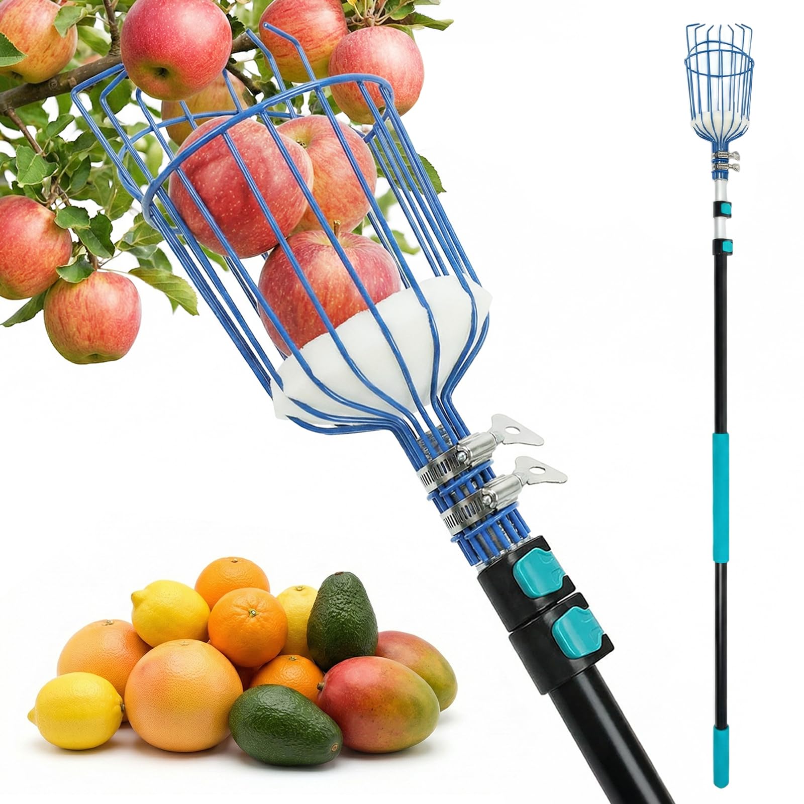 MAVRIZ 5-12ft Fruit Picker Pole with Basket, 20FT Reach Telescoping Apple Picker Extension Pole, Fruit Grabber for Harvesting Mango, Orange, Lemon, Avocado, Pear - Sturdy Aluminum Fruit Tree Picker