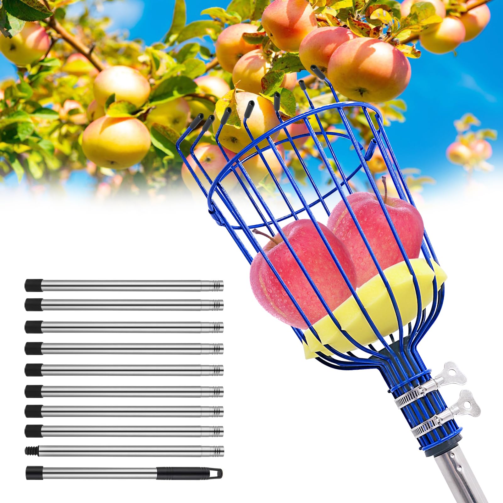 PEAKCLOUDS Fruit Picker Tool with Basket, 35-72 Inch Adjustable Long Handle Fruit Picking Pole - for Harvesting Lemon Avocado Apple Mango Pear Orange & Tall Tree Fruits