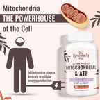 Resciency 2326 MG Mitochondrial Supplements with ATP, Vitamins, CoQ10 & PQQ, More Effective Than Creatine HMB & Nitric Oxide, Energy, Endurance, Strength, Recovery & Muscle, Organic, 240 Capsules
