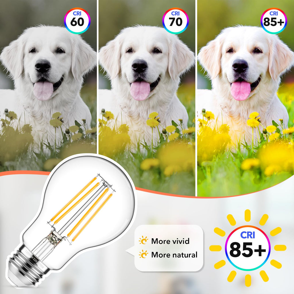 MAXvolador 60W Equivalent E26 LED Filament Light Bulbs, 850LM Warm White 2700K Efficient 6W A19 Edison Bulb, Non-Dimmable Medium Base, 4-Pack