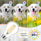 MAXvolador 60W Equivalent E26 LED Filament Light Bulbs, 850LM Warm White 2700K Efficient 6W A19 Edison Bulb, Non-Dimmable Medium Base, 4-Pack