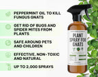 Kate's Home & Garden Plant Spray for Insects & Getting Rid of Gnats with 12 Sticky Traps. Fungus Gnat Killer & Bug Spray for Indoor Plants (16oz, Peppermint, Pet Safe, Non Toxic)