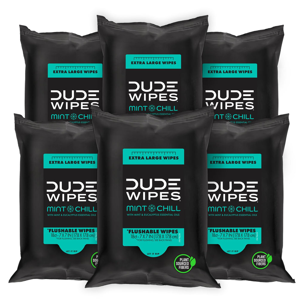 DUDE Wipes Mint Chill Travel Wipes - 6 Packs of 18 (108 Count) - Extra-Large Adult Flushable Wipes - Infused with Tea Tree Oil, Vitamin E, and Aloe - Septic and Sewer Safe
