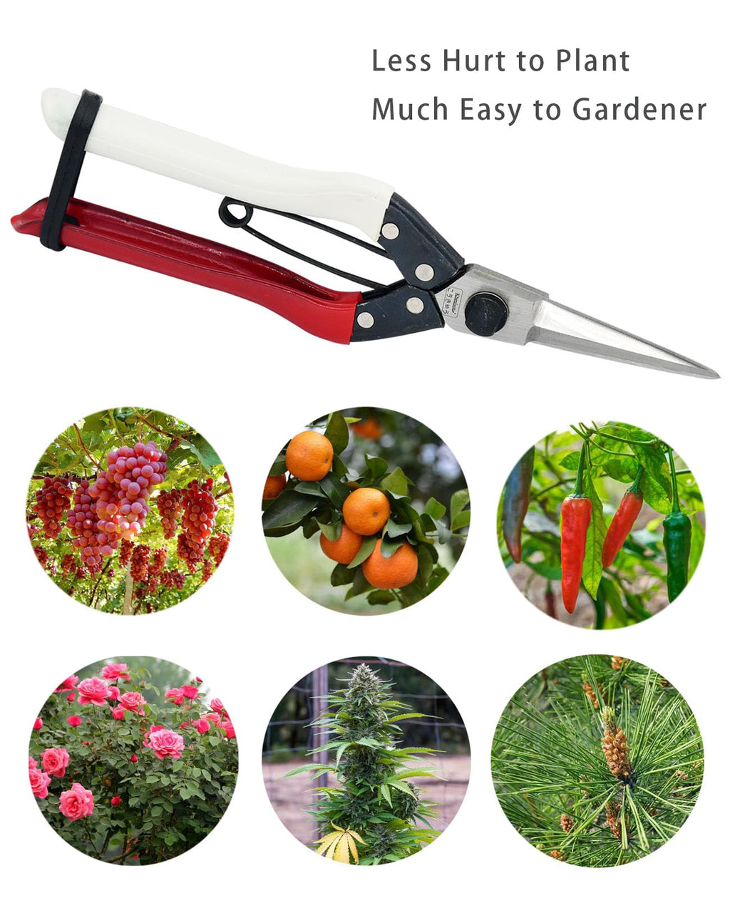 Double-Edge Garden Shears Micro-Tip Pruning Shears Extra Heavy Straight Garden Scissors Effortless Cuts Pruning Shears for Gardening Clippers for Plant Herb Flower Harvesting Fruits vegetables