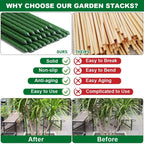 Mininfa Steel Plant Stakes 3 Feet, Plastic Coated Metal Garden Stakes Supports Climbing for Tomatoes, Trees, Beans, 25 Pack