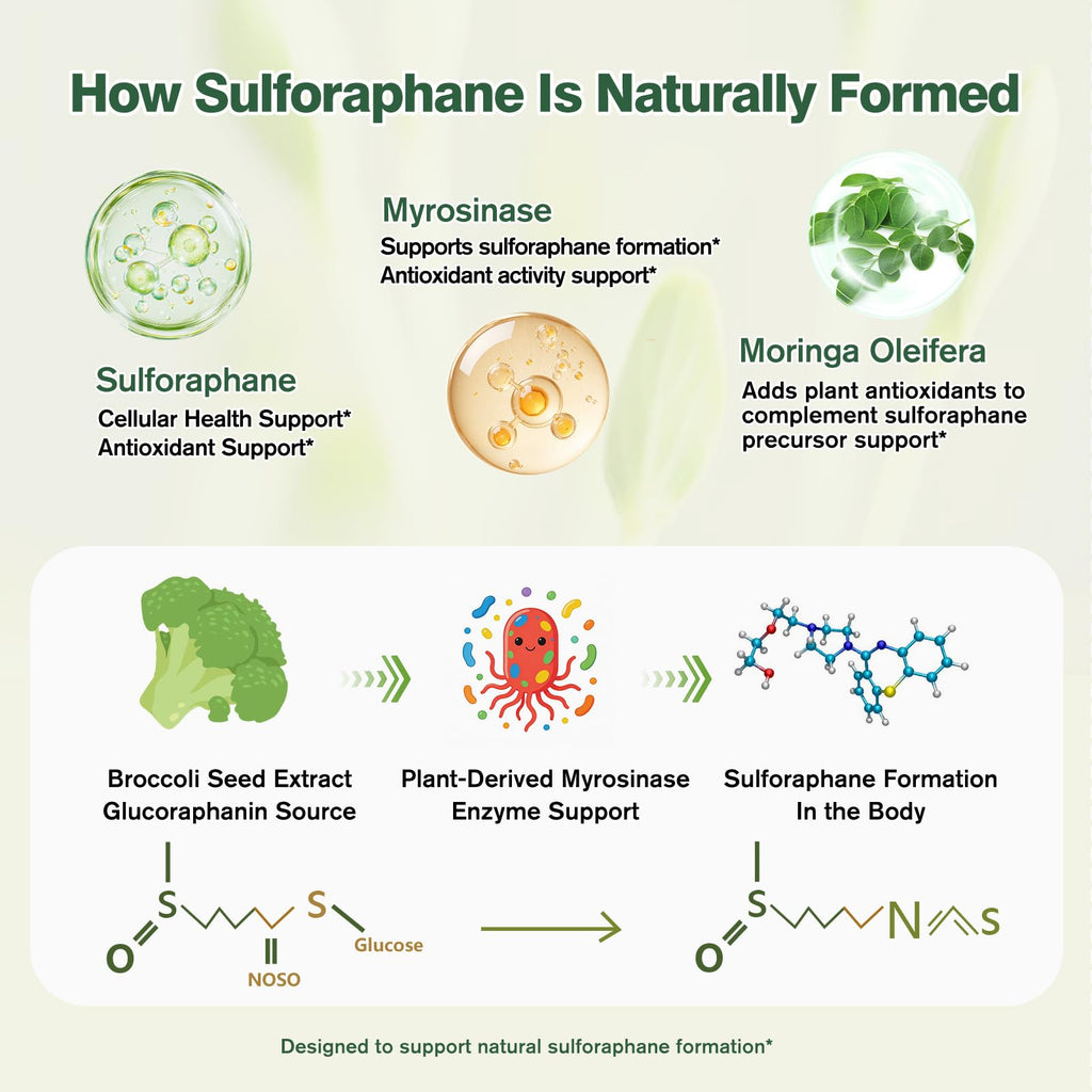 Sulforaphane from Broccoli Seed, Broccoli Supplement | Glucoraphanin, Myrosinase, Moringa Oleifera Leaf Extract – Activated Plant-Based Formula for Cellular Antioxidant Support, 120 Vegan Capsules