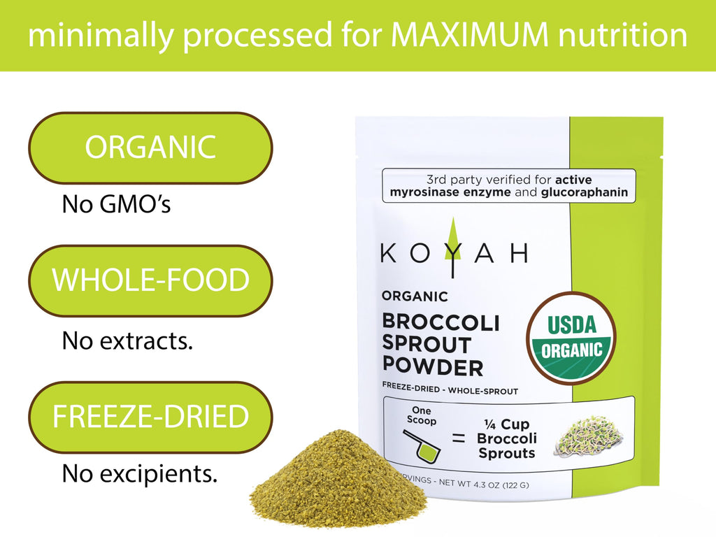 KOYAH - Organic USA Broccoli Sprout Powder (1 Scoop = 1/4 Cup Sprouts): 36 Servings, Freeze-Dried, Tested for Active Myrosinase and Glucoraphanin (Sulforaphane Glucosinolate)