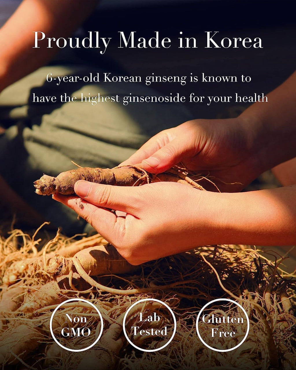Il Hwa Korean Ginseng Extract - Natural Energy and Focus Support - High Ginsenoside Pure Concentrate - 50g (with Measuring Spoon)