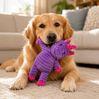 Jalousie Plush Toys Assortment Value Bundle Puppy Pet Mutt Squeak Toy for Medium Large Dogs (5 Pack Corduroy)