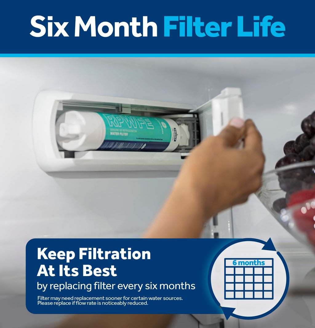 Ge Rpwfe Filter GE RPWFE Refrigerator Water Filter, Genuine Replacement Filter ...