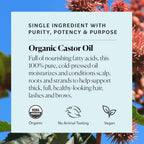 Sky Organics - Castor Oil Organic - Volumizing Hair Oil - Scalp, Lashes, Brows - Pure Castor Oil Cold Pressed - Natural Conditioner - Omega Fatty Acids, Vegan - Beauty, Hair, & Self Care - 8oz, 2 Pack