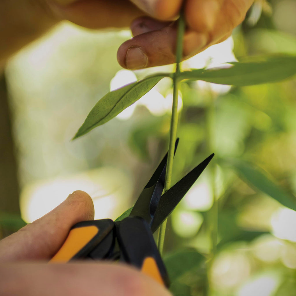 Fiskars 6" Non-Stick Pruning Snips, Resin-Resistant Garden Scissors, 2-Pack