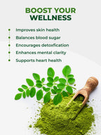 PURA VIDA MORINGA Organic Moringa Leaf Powder, Premium 100% Leaf Powder Single Origin - USDA Organic Moringa Oleifera, Perfect for Smoothies & Recipes, 8 oz