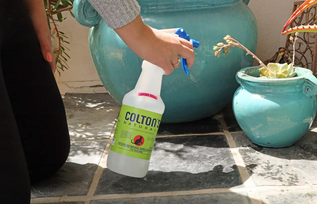 Cat Repellent Outdoor Spray Indoor (32 OZ) 100% Organic & Natural Yard Furniture Repellant