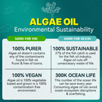2 Pack Algae Omega 3 Gummies 1000mg, Plant Based DHA 460mg & EPA 230mg, Omega 3 Fish Oil Alternative for Adults, Plus MethylFolate, Vitamin B12, Phosphatidylserine, No Fishy Taste, Vegan, Sugar Free