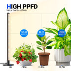 Barrina T10 Standing Grow Light for Indoor Plants, 20W 2FT, Full Spectrum
