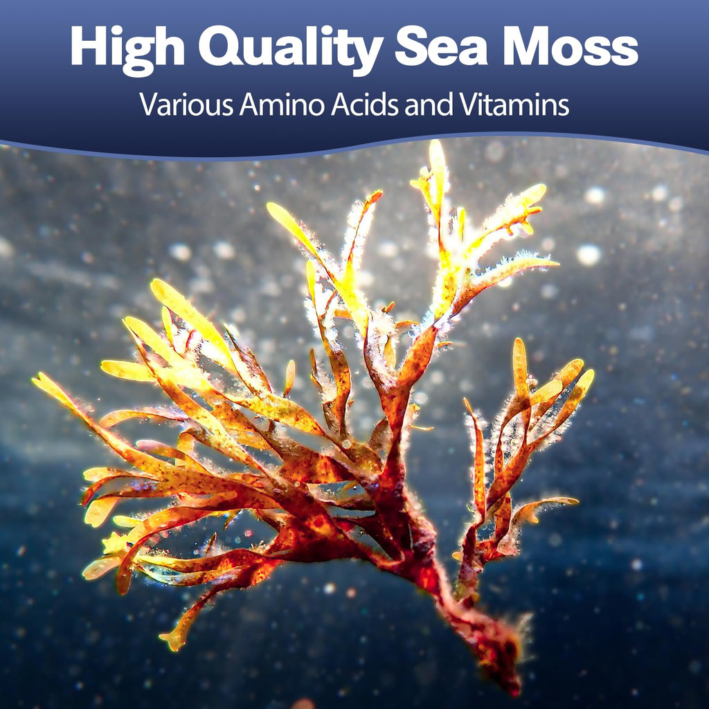 25-in-1 Sea Moss Capsules, 120 Capsules per Bottle, 2 Bottles