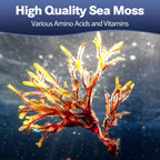 25-in-1 Sea Moss Capsules, 120 Capsules per Bottle, 2 Bottles