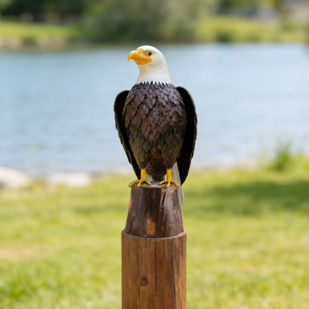 chisheen Bald Eagle Outdoor Metal Yard Art Statue and Sculpture for Garden Lawn Patio Living Room Decoration