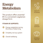 Solgar Vitamin B1 (Thiamin) 500 mg, 100 Tablets - Energy Metabolism, Healthy Nervous System, Overall Well-Being - Super Potency - Non-GMO, Vegan, Gluten Free, Dairy Free - 100 Servings