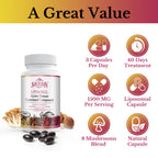 SZCZEKIN 1500mg Liposomal Active Hexose Correlated Supplement,240 Soft Gels Beta-Glucans with Natural Mushroom Extract, Immune System, Liver Function, Maintain T-Cell & Killer Cell Activity