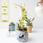 Yohsnor 3PCS DNA Plant Trellis Indoor & Outdoor,Metal Trellis for Pots