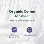 Rael Disposable Underwear for Women, Organic Cotton Cover - Postpartum Essentials, Leak Locker, Unscented, Maximum Coverage (Size L-XL, 12 Count)