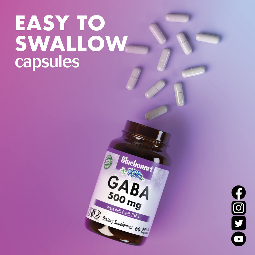 BlueBonnet Nutrition GABA 500mg, for Stress Relief*, Supports Relaxation*, Kosher, Vegan, Gluten-Free, Soy-Free, Non-GMO, 120 Vegetable Capsules, 120 Servings