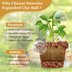 Sunwinx 16LB Organic Leca Clay Pebbles for Plants, 4-16mm Natural Leca Ball