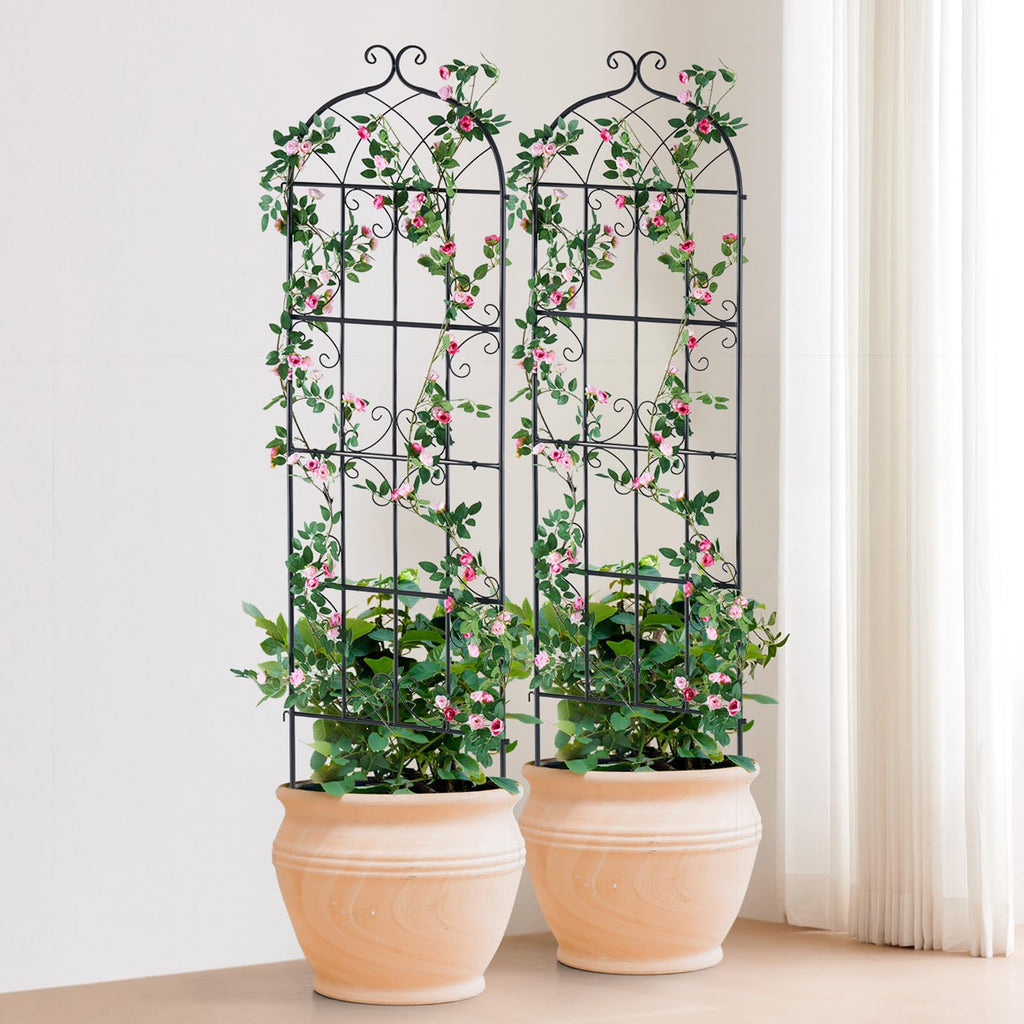 VEVOR 71 x 20 in, 4 Packs Rustproof Metal Garden Flower Trellis, Outdoor Climbing Rose & Cucumber Support, Decorative Clematis Trellis for Courtyards & Lawns