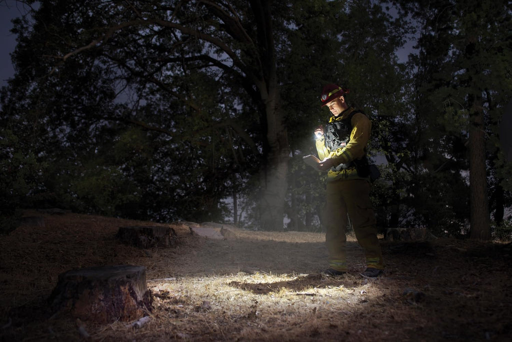 Mini Maglite Pro LED 2-Cell AA Flashlight, High Lumen, Water-Resistant, Adjustable Focus – Silver