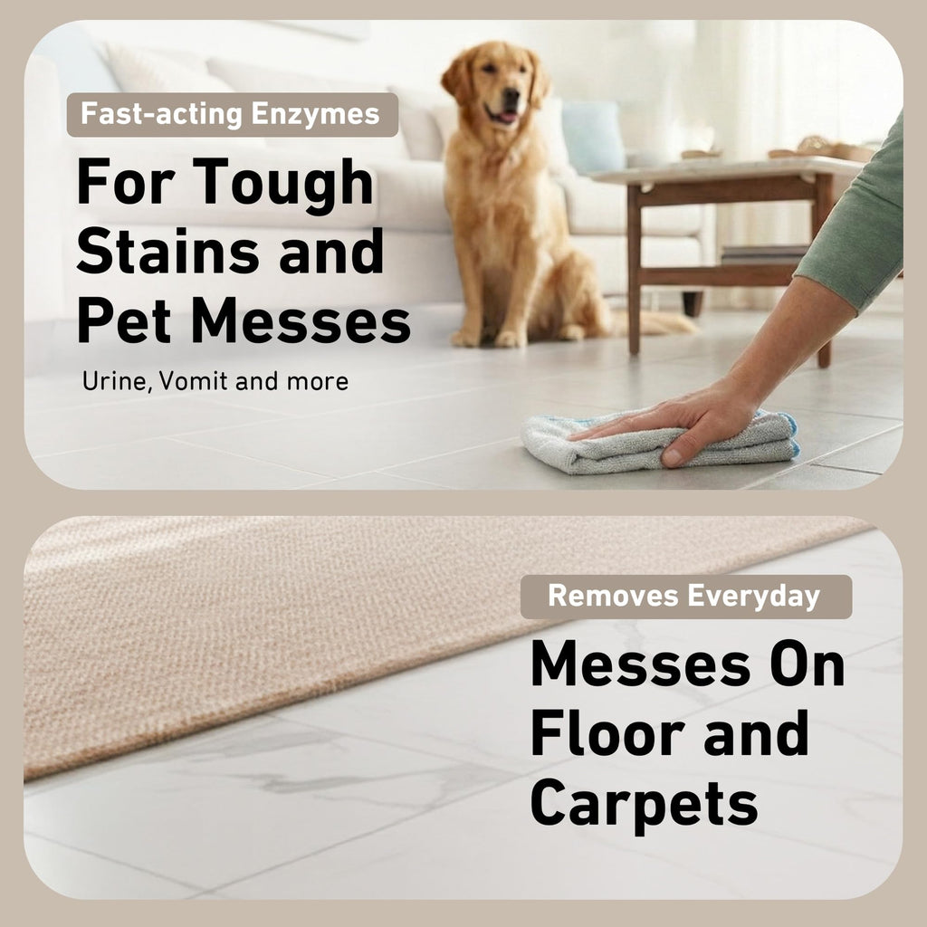 Creative Scents Multipurpose Enzyme Cleaner & Odor Remover | Super Concentrated for Floor, Carpet, Drain | Pet Urine Odor Eliminator | Enzyme Cleaner for Cat Urine & Dog Poop | 1 Gallon - White Tea