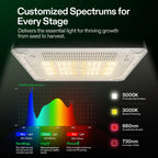VGrow All-in-One Smart Grow Box, Professional System with Samsung LM301H EVO Grow Light, Advanced Circulation & Ventilation System, Irrigation, Nutrient, Magnetic Window for Indoor Hydroponics