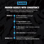 Gains in Bulk Instantized Creatine Monohydrate for Women and Men, Soluble Pre Workout Powder, Supports Muscle Building, Strength and Performance, Bodybuilding Supplements, Blue Raspberry, 30 Servings