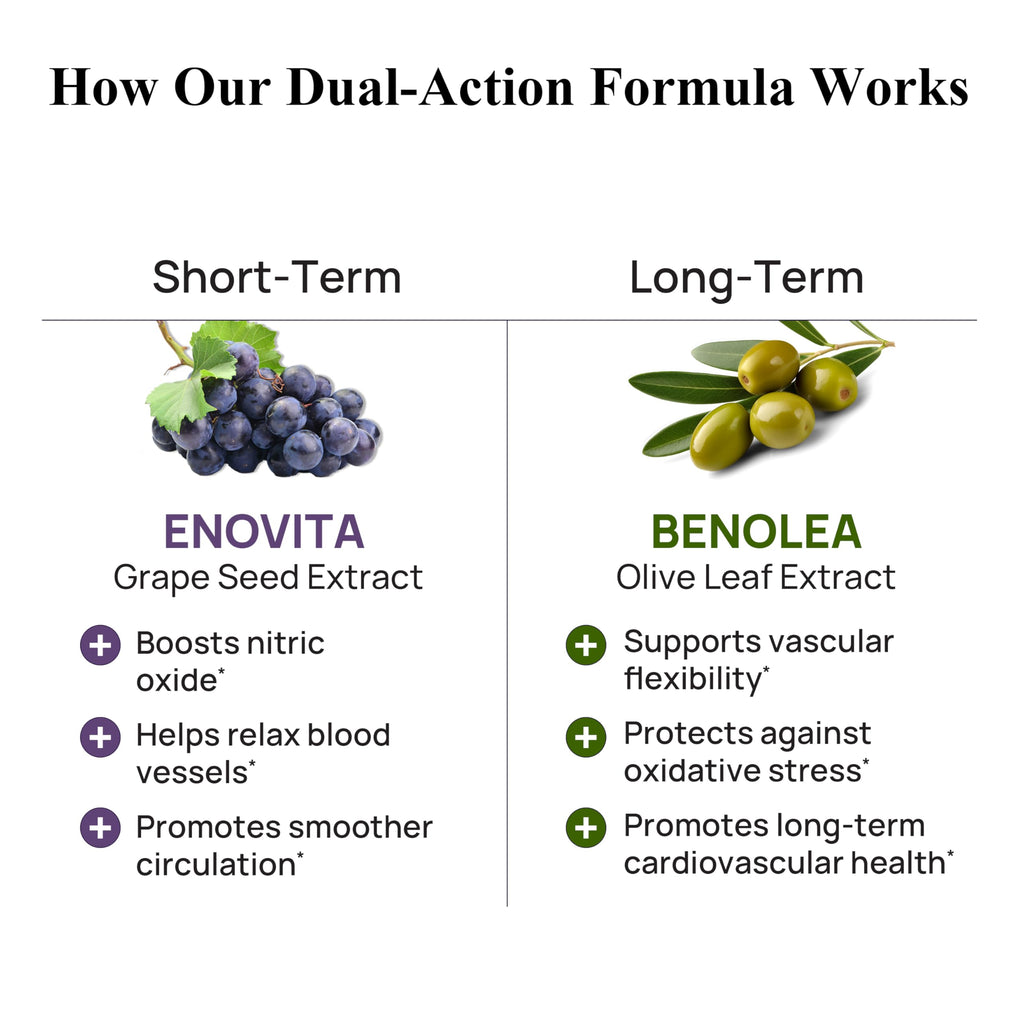 Durable Blood Pressure – Benolea Olive Leaf & Enovita Grape Seed Extract – Healthy Circulation, Nitric Oxide & Artery Support – Doctor Formulated, Vegan, Non-GMO, Made in USA (180 Capsules)