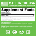SteelFit Creapure Creatine Monohydrate Powder, Unflavored - German Micronized Creatine Powder for Men & Women - Gym Workout Nutritional Supplements for Muscle Gain, Brain Health & Strength Building